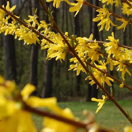 D'hotes La Parenthez' Frühstückspension