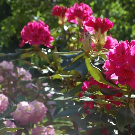 Bed & Breakfast D'hotes La Parenthez' 3*